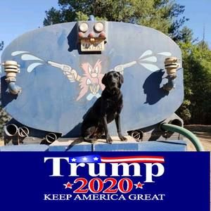 Meet your Posher, Joe